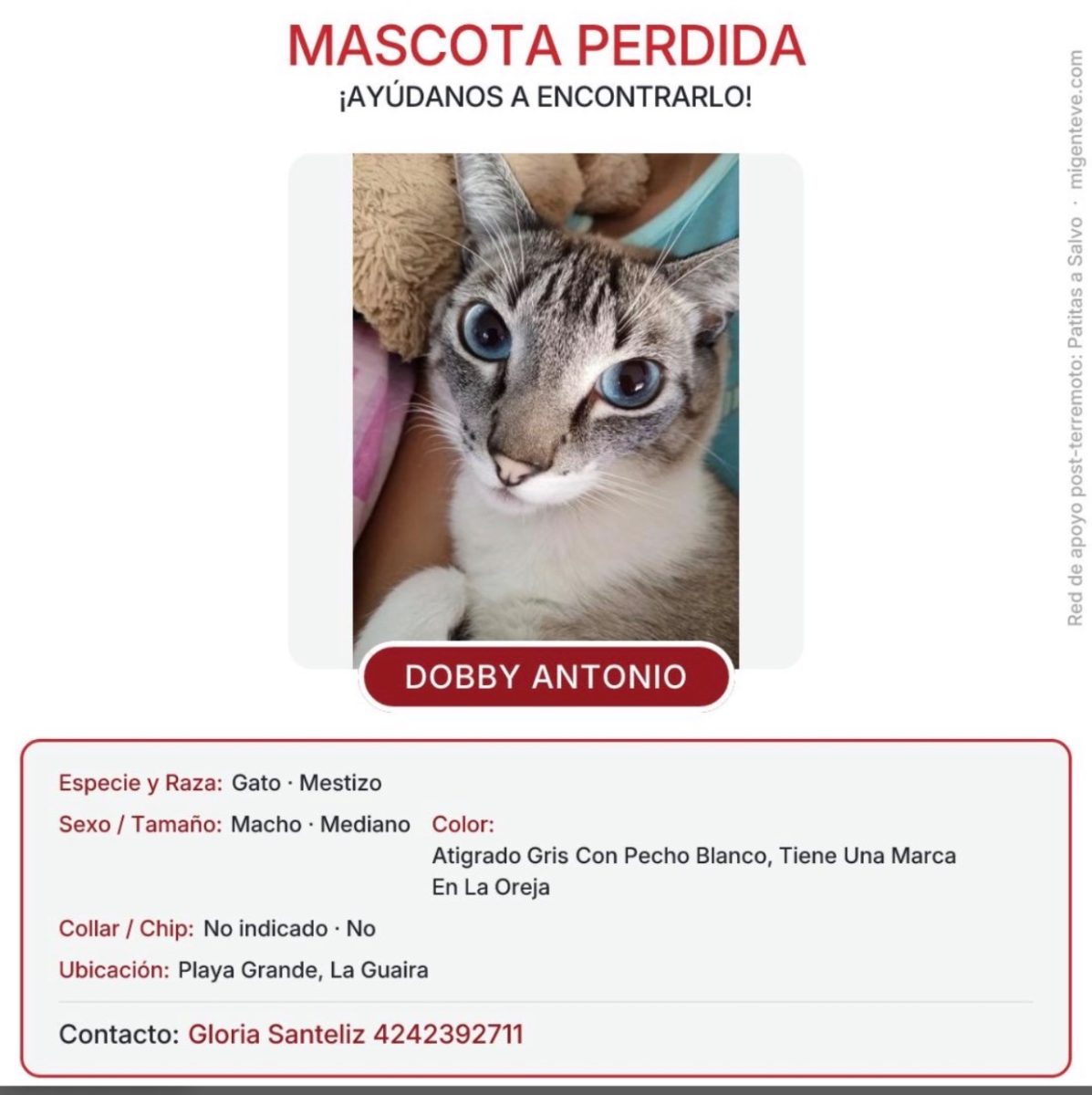 Dobby Antonio