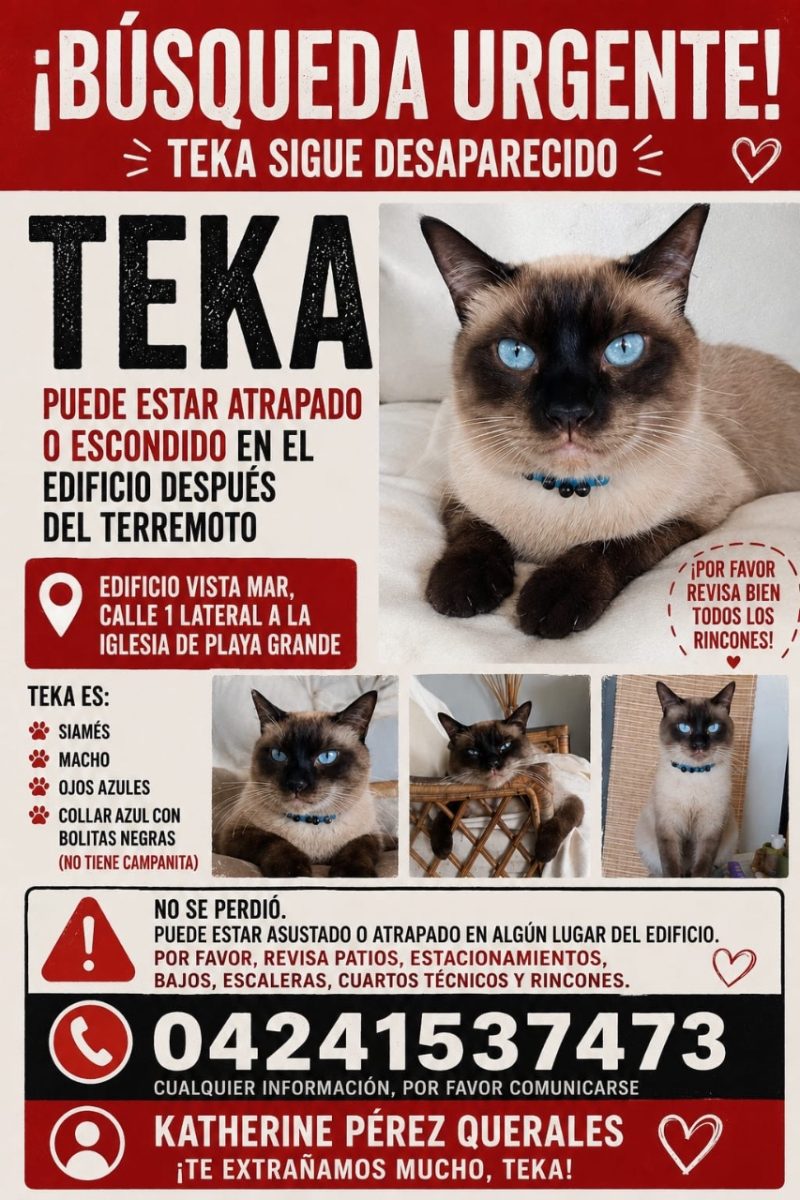 Teka